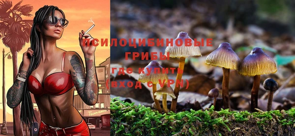 COCAINE Алексеевка