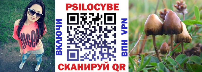 Галлюциногенные грибы Psilocybine cubensis  Кинель 