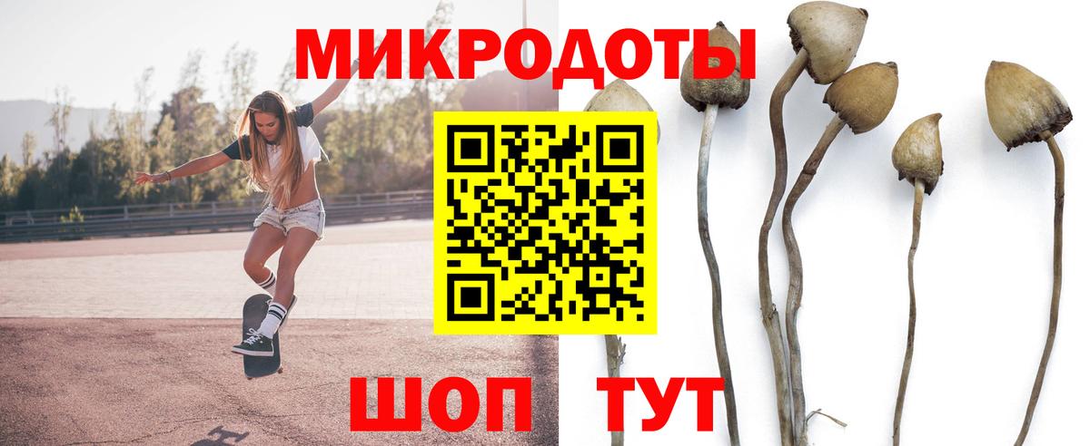 Кинель  Галлюциногенные грибы мицелий  Псилоцибиновые грибы Cubensis  Вход с VPN 